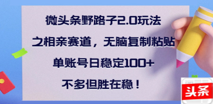 全网首发微头条野路子2.0玩法之相亲赛道，无脑搬砖复制粘贴，单账号日稳定300+保姆级教程四海领钱-网创-知识付费-网创项目资源站-副业项目-创业项目-搞钱项目四海领钱