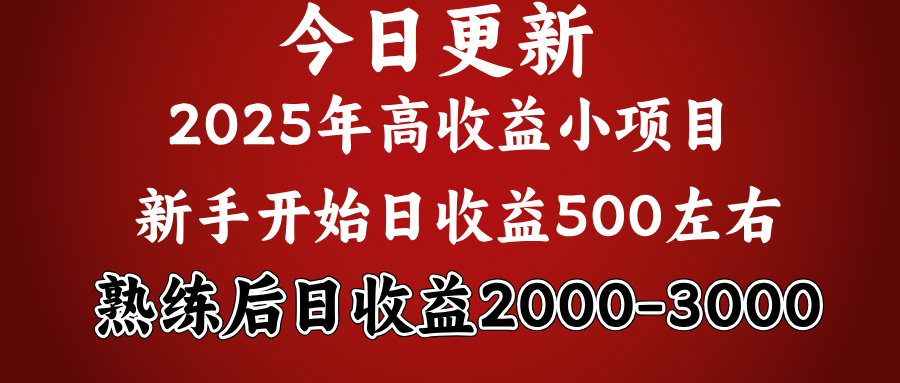 好项目一眼就能看出来，日收益1000，长久可做，2025拼的就是我比你勤奋四海领钱-网创-知识付费-网创项目资源站-副业项目-创业项目-搞钱项目四海领钱