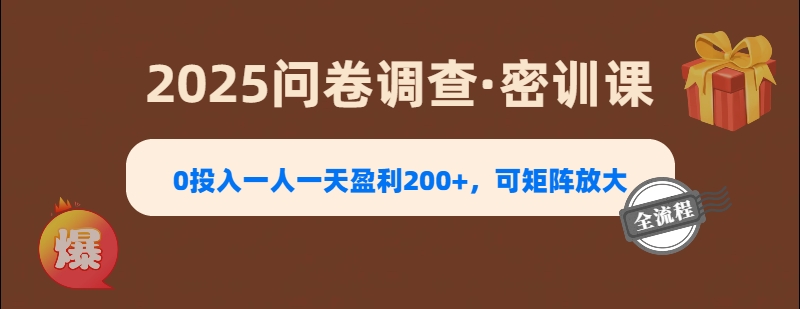 2025《问卷调查》0投入一人一天盈利200+，可矩阵放大四海领钱-网创-知识付费-网创项目资源站-副业项目-创业项目-搞钱项目四海领钱