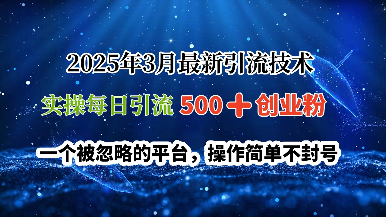 2025年3月最新引流技术，实操每日引流500➕创业粉，一个被忽略的平台，操作简单不封号四海领钱-网创-知识付费-网创项目资源站-副业项目-创业项目-搞钱项目四海领钱
