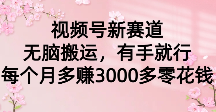 视频号新赛道，无脑搬运，有手就行，每个月多赚3000多零花钱四海领钱-网创-知识付费-网创项目资源站-副业项目-创业项目-搞钱项目四海领钱