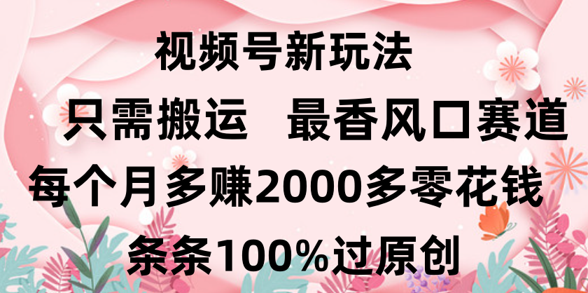 日入2000+，条条100%过原创，视频号最香风口赛道，小白轻松上手四海领钱-网创-知识付费-网创项目资源站-副业项目-创业项目-搞钱项目四海领钱