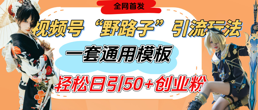 视频号“野路子”玩法，评论区疯狂截流，一套模板单日单号引流50+创业粉四海领钱-网创-知识付费-网创项目资源站-副业项目-创业项目-搞钱项目四海领钱
