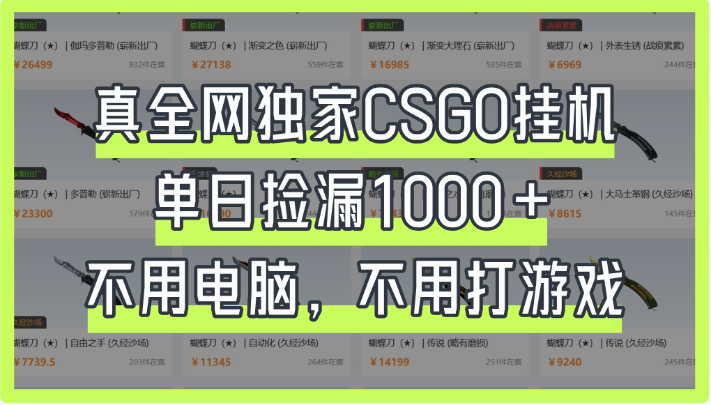 真全网独家CSGO挂机，单日捡漏1000+四海领钱-网创-知识付费-网创项目资源站-副业项目-创业项目-搞钱项目四海领钱
