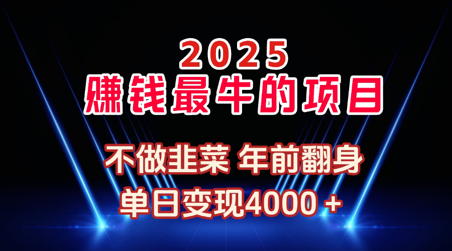 2025年赚钱最牛的项目 不做韭菜 年前翻身四海领钱-网创-知识付费-网创项目资源站-副业项目-创业项目-搞钱项目四海领钱