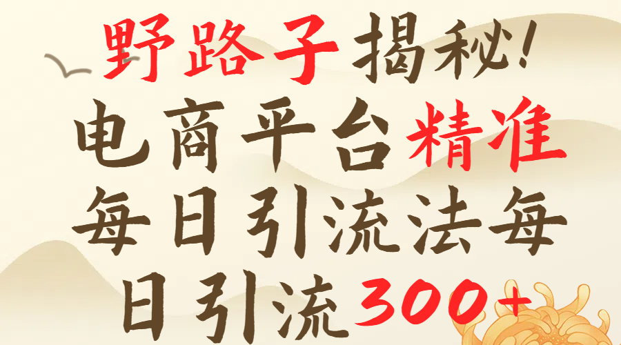 野路子揭秘！电商平台每日引流300＋独家揭秘详细流程！四海领钱-网创-知识付费-网创项目资源站-副业项目-创业项目-搞钱项目四海领钱