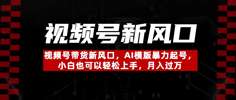 视频号带货新风口，AI模版暴力起号，小白也可以轻松上手，月入过万四海领钱-网创-知识付费-网创项目资源站-副业项目-创业项目-搞钱项目四海领钱