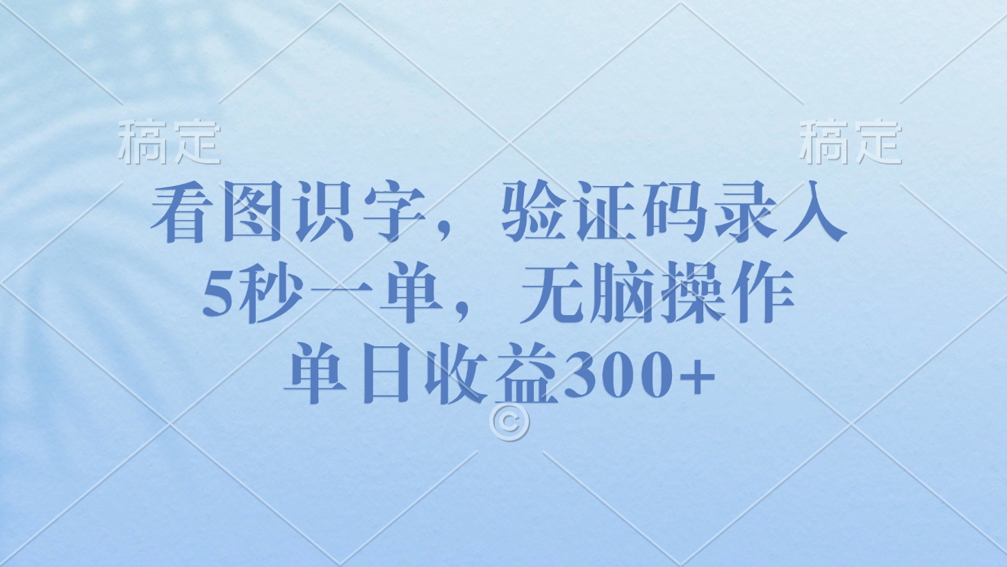 看图识字，验证码录入，5秒一单，无脑操作，单日收益300+四海领钱-网创-知识付费-网创项目资源站-副业项目-创业项目-搞钱项目四海领钱