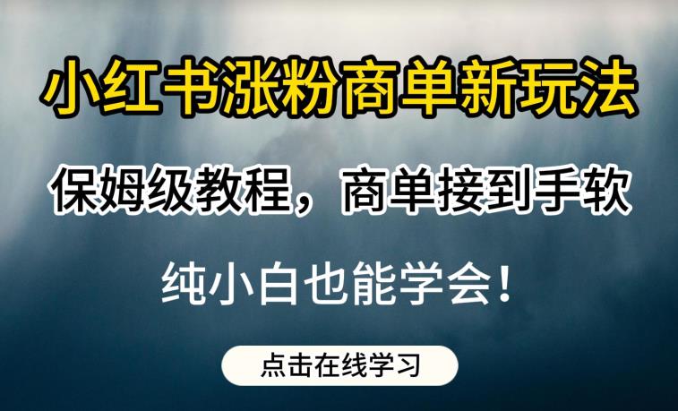小红书涨粉商单新玩法，保姆级教程，商单接到手软，纯小白也能学会【揭秘】四海领钱-网创-知识付费-网创项目资源站-副业项目-创业项目-搞钱项目四海领钱